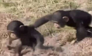 BLOG - Funny Quotes About Men Being Idiots