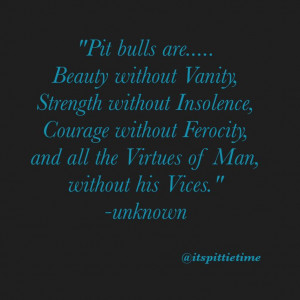 pit bull quotes