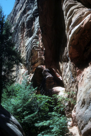 The Sculpted Walls Of Hidden Canyon Zion National Park Utah
