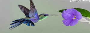 hummingbird_and_purple_flower-454945.jpg?i