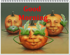 Funny and Cute Good Morning Messages and quotes