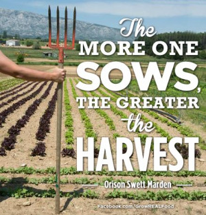 The More One Sows, the Greater the Harvest #gardening #organic