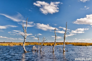 ... truly love Nature, you will find beauty everywhere. ~Vincent Van Gogh