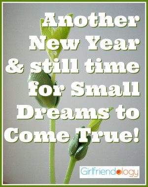 ... New Year & still time for Small Dreams to Come True! Happy New Year