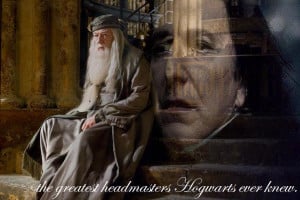 funny dumbledore quotes