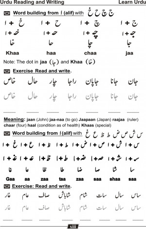 Language Urdu Funny