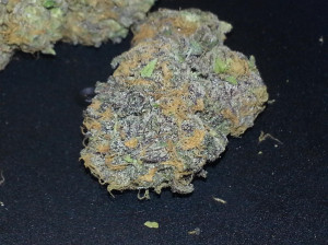 cant wait for the cross to be finished