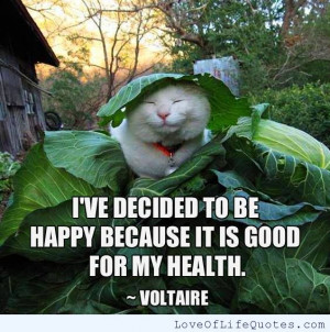 Voltaire-quote-on-being-Happy.jpg