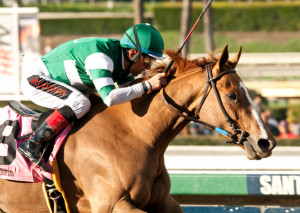 SANTA YSABEL STAKES QUOTES – SATURDAY FEBRUARY 28, 2015