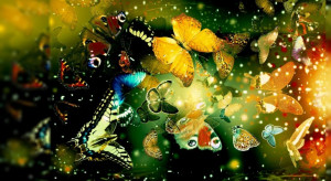 Butterflies - Inspiring colorful wallpaper