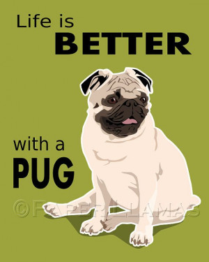 ... couple years when we get a black pug puppy, which we'll name Pugsy