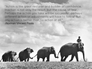 Inspirational Quotes About Elephants