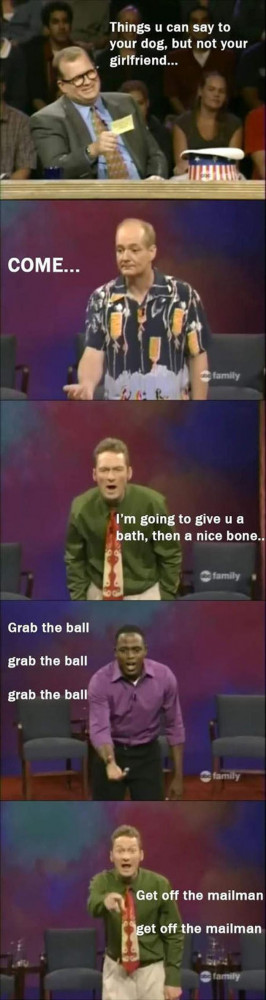 Things You Can Say To Your Dog | Funny Wall Photos