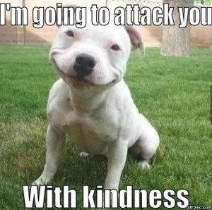 Kind Dog - Funny Pictures, MEME and LOL by Funny Pictures Blog