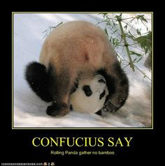 confucius say - Google Search More