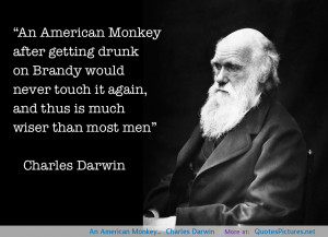 An American Monkey…” Charles Darwin motivational inspirational ...