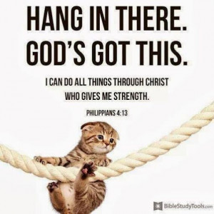 Young kitten hanging onto a rope. Hang in there. God's got this! You ...
