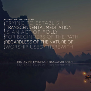Transcendental Meditation Quotes Quote of the day: trying to establish ...