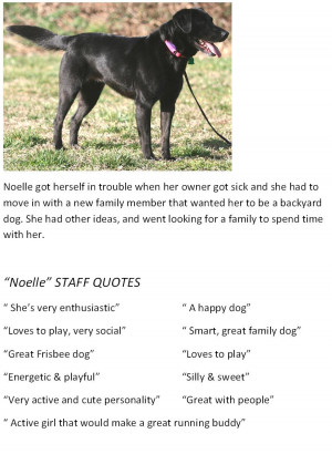 Posted in Shelter Services | Comments Off