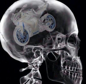 Motorcycle always on the brain - motorcycle quote - sportbikes