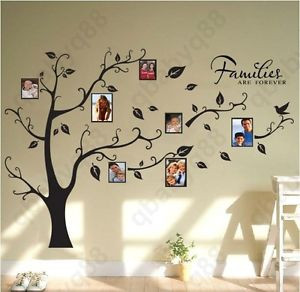 Family-Picture-Photo-Frame-Tree-Wall-Quote-Art-Stickers-Vinyl-Decals ...