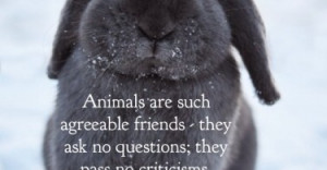 animals-are-such-agreeable-friends-george-eliot-daily-quotes-sayings ...