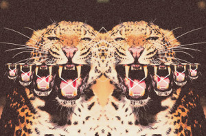 Dope Tiger Photoshop Duplicate Clones