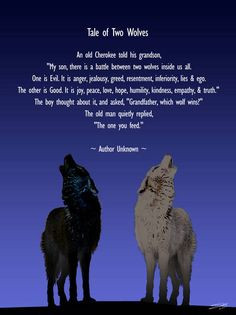 The story of the two wolves. More