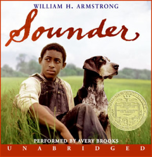 MORE Mountainboard Park et initiations mobiles !