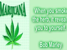 Weed Quotes Funny Smoking Bob Marley