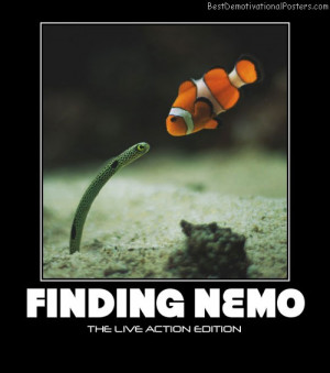 Funny Quotes From Finding Nemo Movie Image Search Results Picture