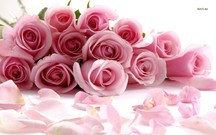 Rosa rose Bouquet Bilddatei - Blume-Image-Datei