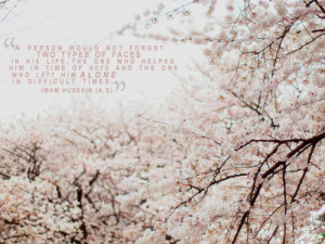 cherry blossom tree #cherry blossom #quotes #islam #imam hussain # ...