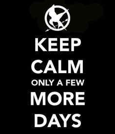 Keep calm and hunger games