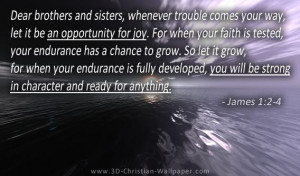AN OPPORTUNITY FOR JOY. For when your faith is tested, your endurance ...