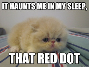 It haunts me in my sleep, That Red dot Shell-shocked kitten