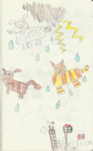 Raining Cats and Dogs