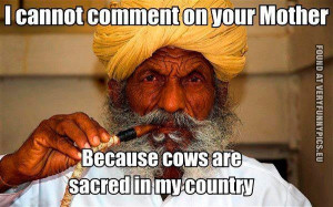 ... cannot comment on your mother because cows are sacred in my country
