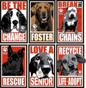 For the love of dogs, do something! ♥