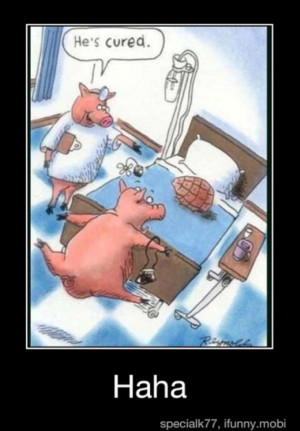 By Admin on March 29, 2013 Funny Animal Pictures