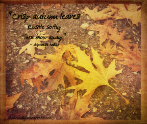 Sunday Quote: Falling Leaves