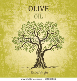 stock-vector-olive-tree-on-vintage-paper-olive-oil-vector-olive-tree ...