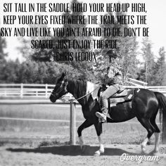 Sit tall in the saddle, hold your head up high, keep your eyes fixed ...
