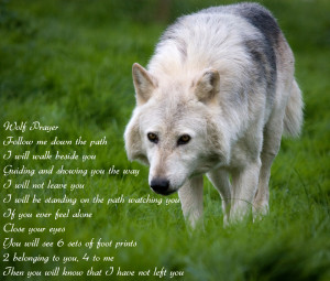 Wolves Wolf Prayer Wallpaper