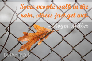 The winter strips our area of all color. Or so it seems. I found a few ...