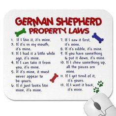 German Shepherd Property Laws. This is so our shepherd/lab Draco! More