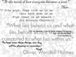 Prejudice Quotes In To Kill A Mockingbird With Page Numbers