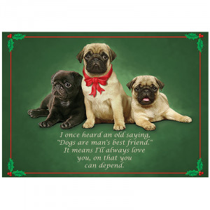Pug Christmas Cards - Quote