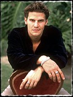for more david pictures click here david boreanaz quotes angel