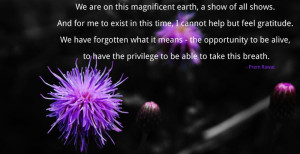 We have forgotten what it means - the opportunity to be alive.